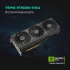 Вид 13